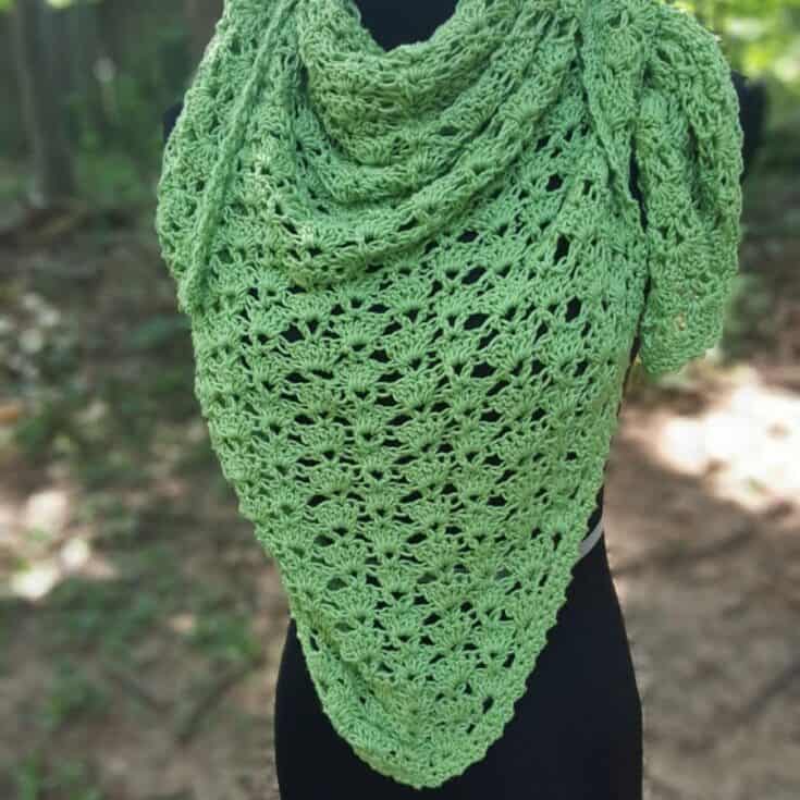 Image for Cecilia Shawl