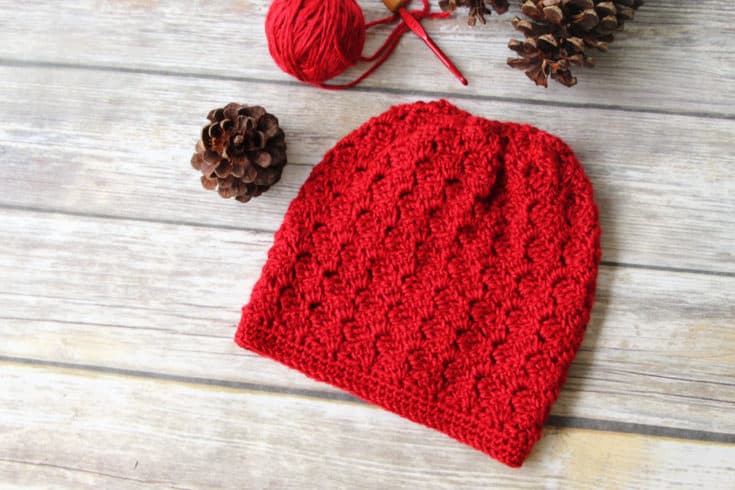 Image for Free Crochet Hat Pattern-Dallas Hat