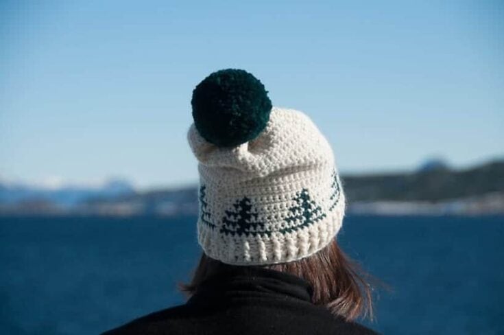 Image for Christmas Trees Crochet Hat – FREE Crochet Pattern