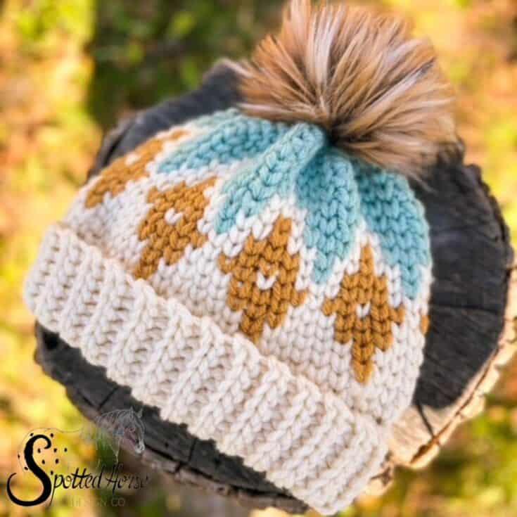 Image for Crochet Winter Hat – Free Pattern