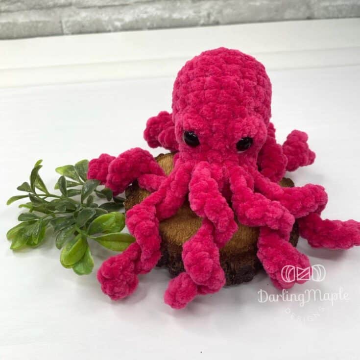 Image for The Jelly Bean Octopus