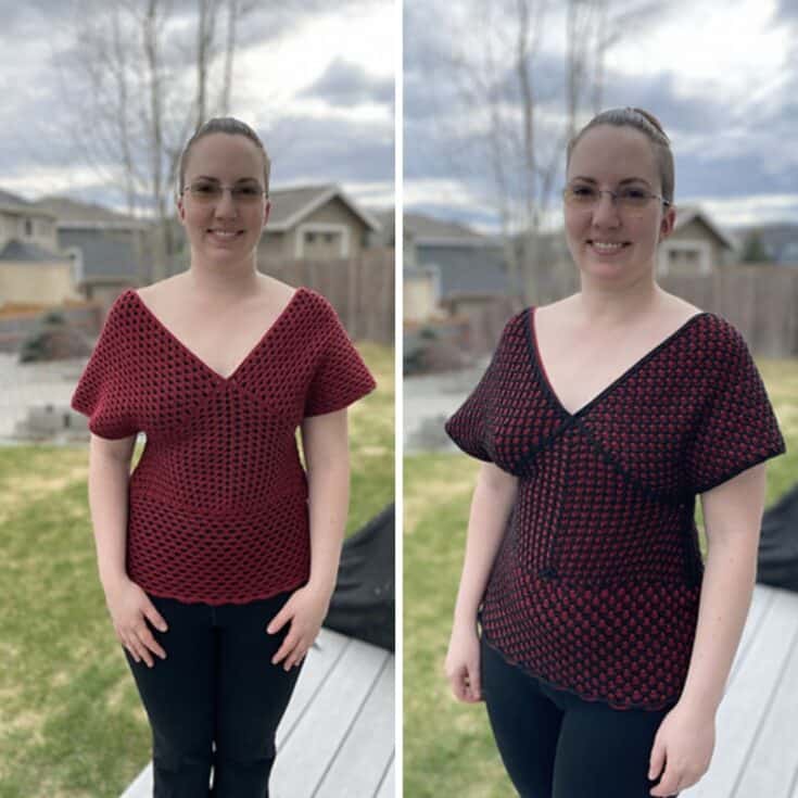 Image for The Reversible V neck Top