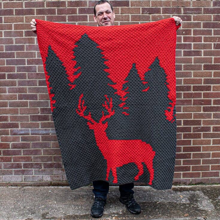 Image for Stag at Home Blanket
