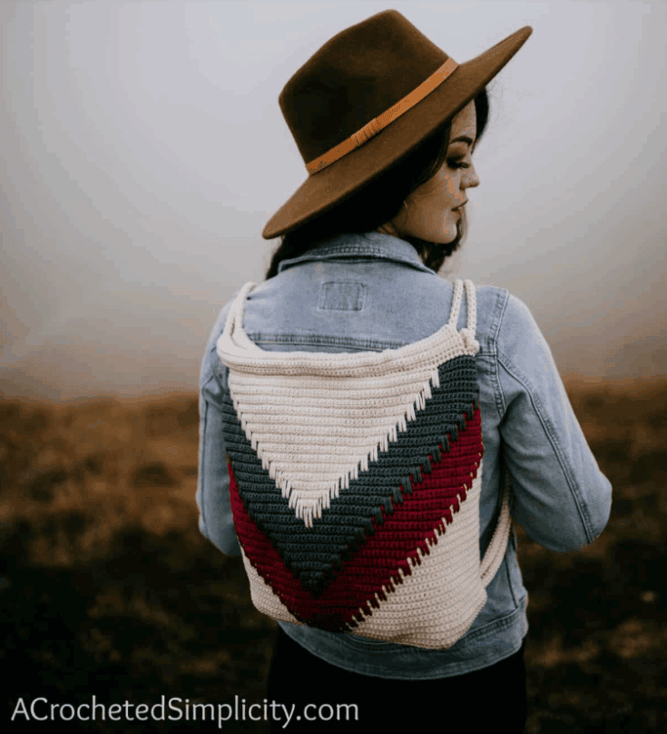 Image for Wanderlust Chevron Backpack